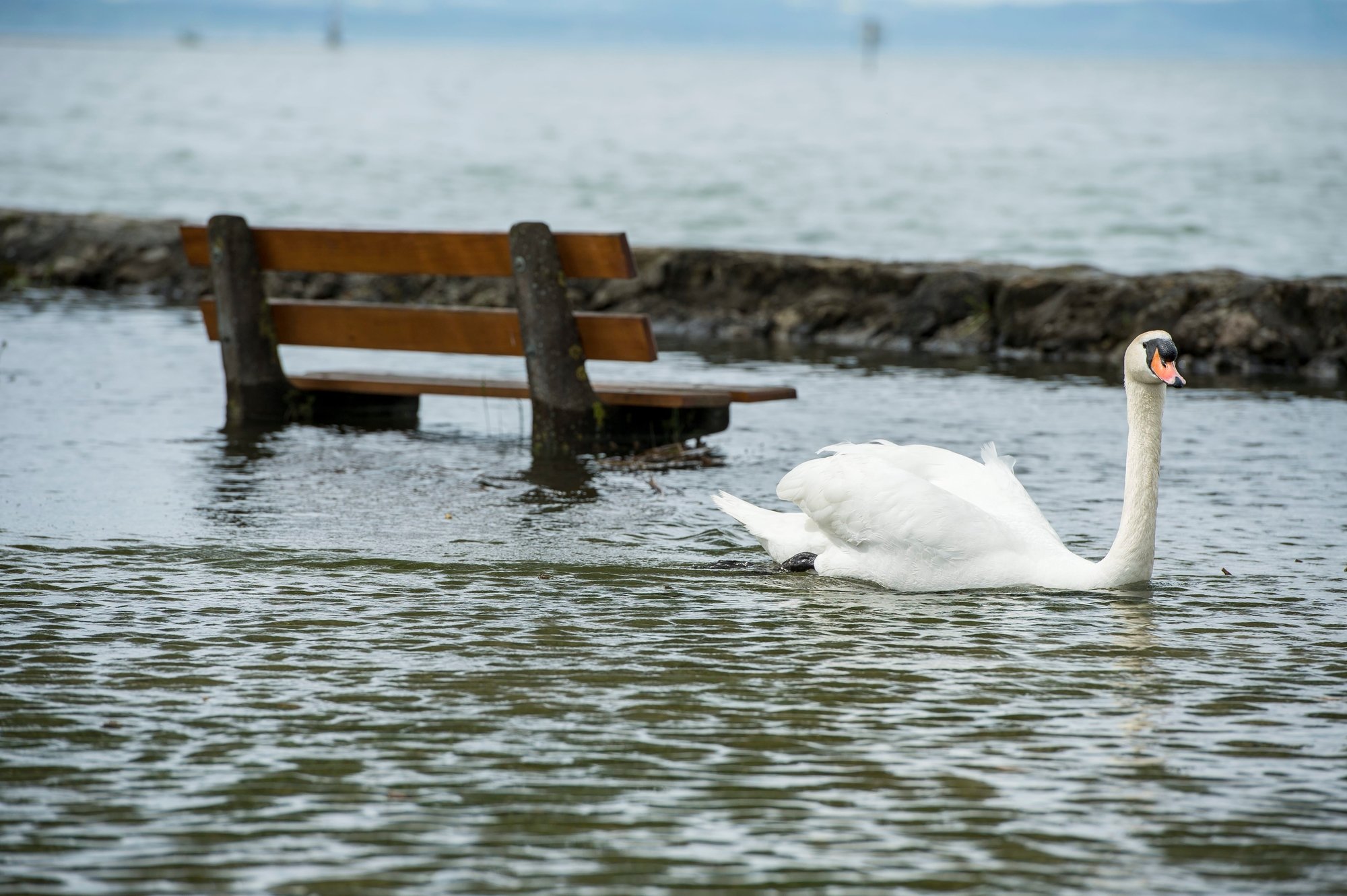 En 2005, les crues de la Sarner Aa avaient inondé une partie du canton d'Obwald. Un chantier de protection a été mis en œuvre (image d'illustration).