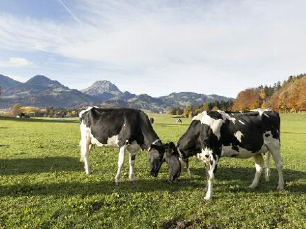 Le revenu agricole moyen en Suisse en 2019 était de 74'200 francs par exploitation.