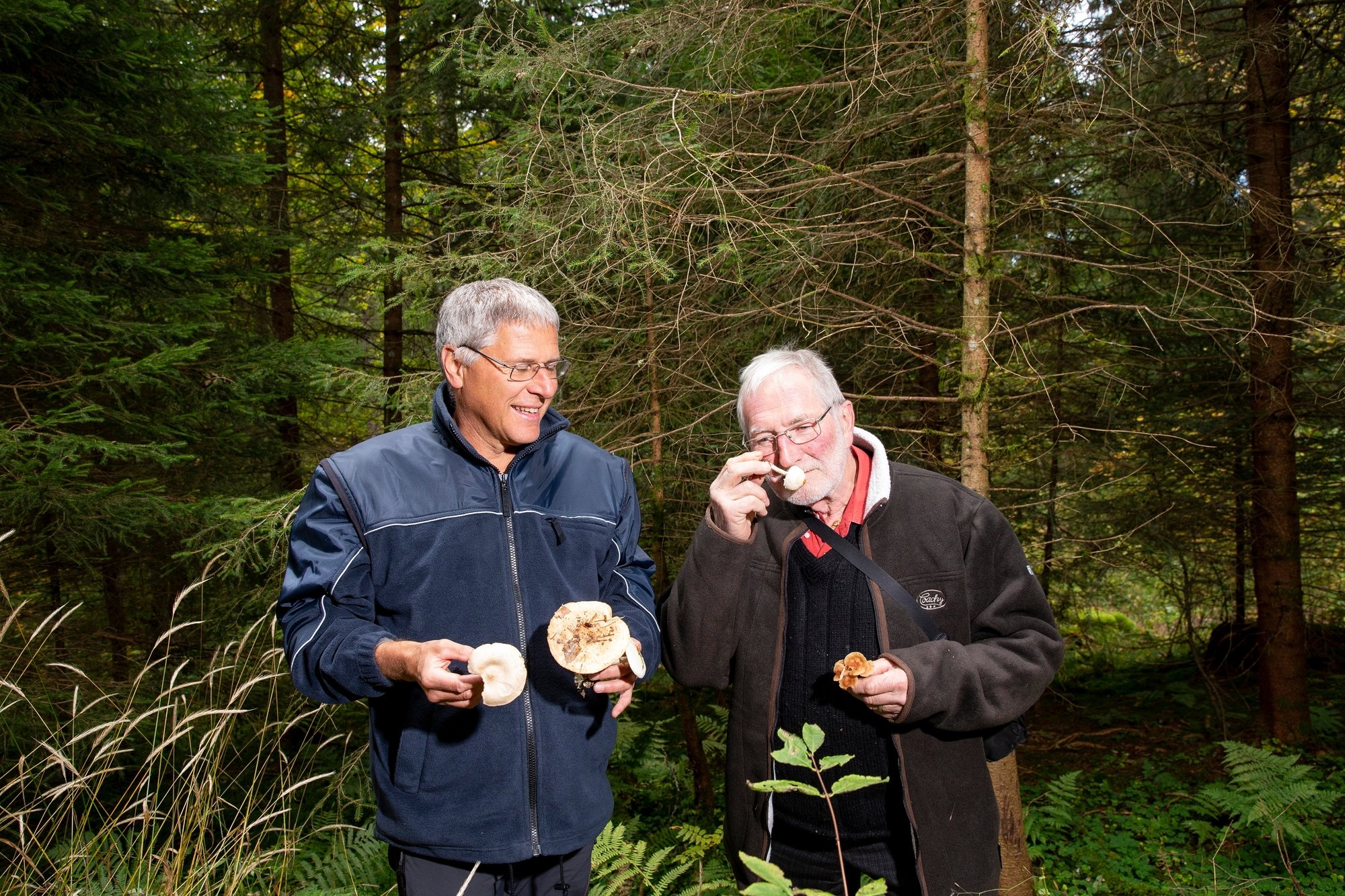 Selon François Freléchoux et Charles-Henri Pochon, on ne peut apprécier un champignon qu'en le tenant entre les mains pour l'observer et le humer.