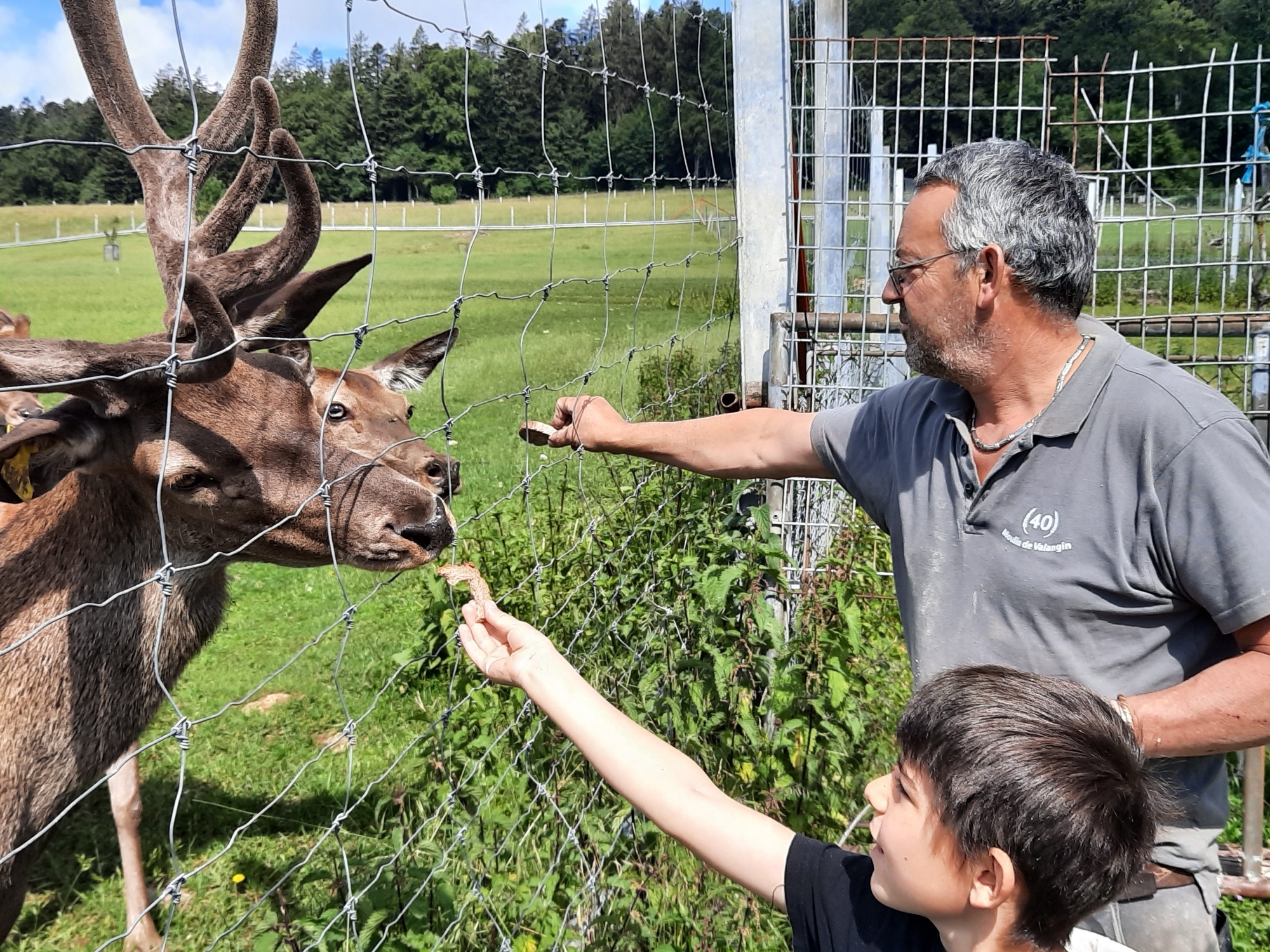 La famille Sunier, à Enges, élève des cerfs depuis 2011. Une production labellisée.