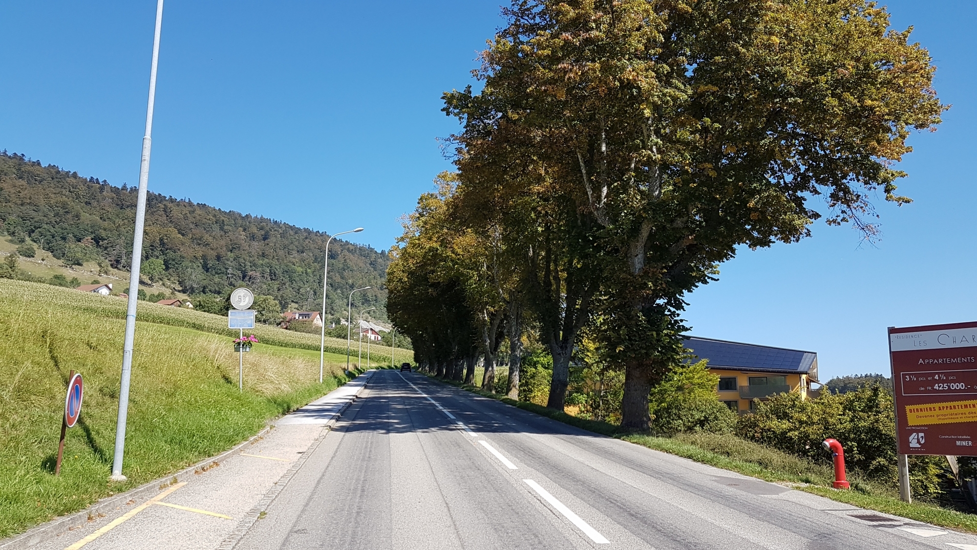 La route sera fermée pour entretenir les vieux arbres, devenus dangereux.