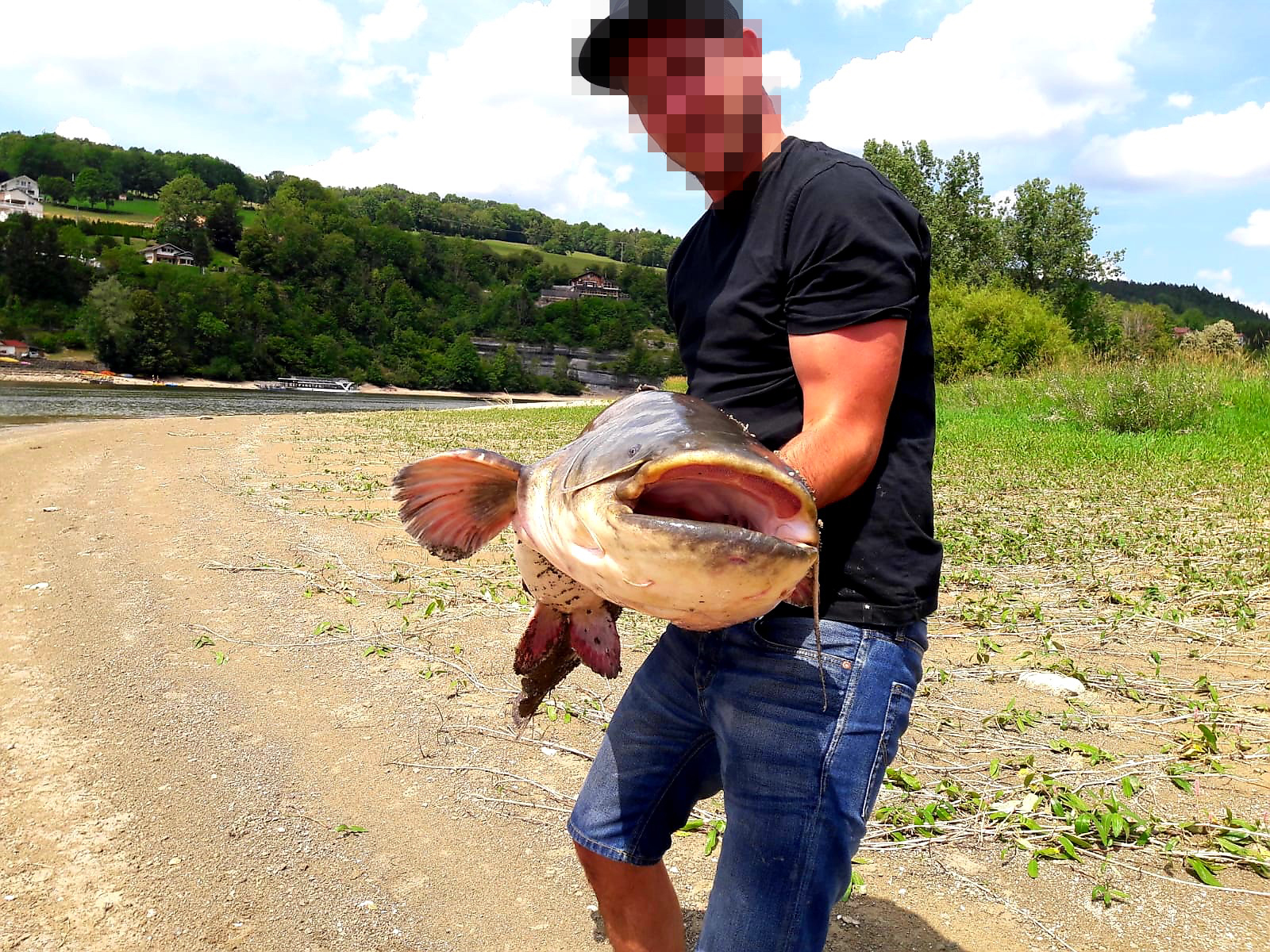 La pêche au silure, prisée pour son aspect sportif, se pratique désormais sur le lac des Brenets.