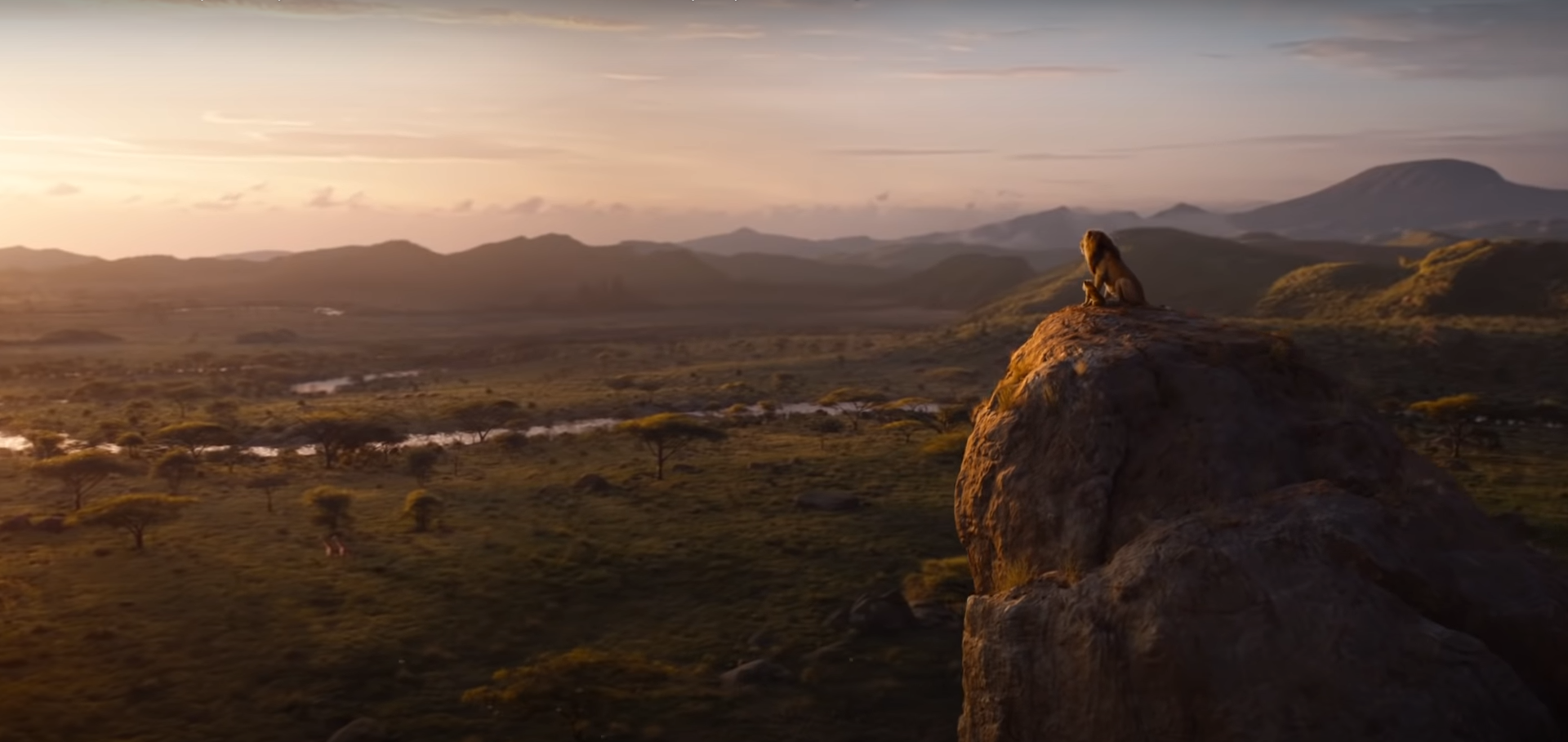 Le film d'animation du "Roi Lion" en 3D aura une suite (capture d'écran YouTube).