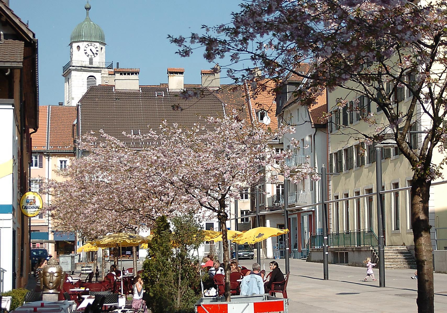 Trop fragiles en milieu urbain, les cerisiers de la Place de la Carmagnole à La Chaux-de-Fonds seront remplacés par d'autres arbres plus résistants. 