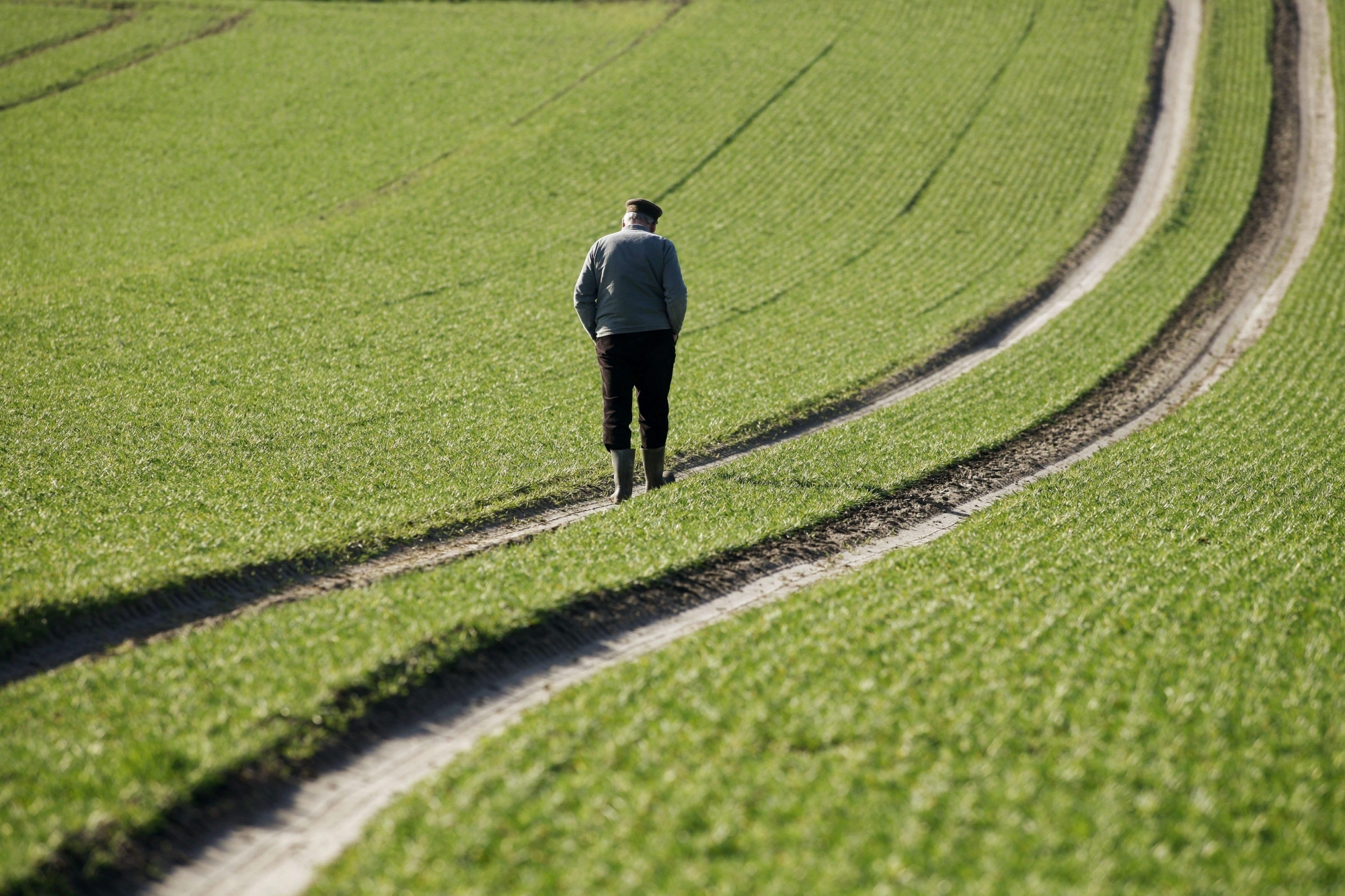 Selon une étude d'Agroscope, les agricultrices et les agriculteurs sont deux fois plus exposés à l’épuisement professionnel que le reste de la population.