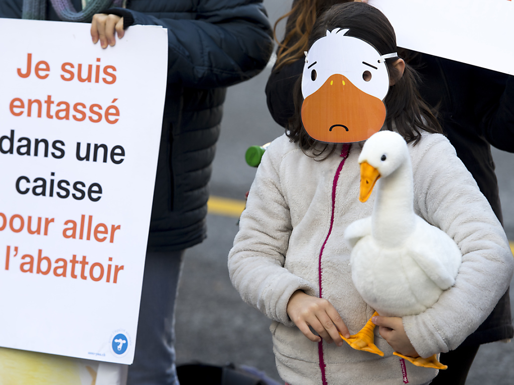 Des voix s'élèvent contre le gavage des canards et des oies et contre la vente de foie gras, comme ici lors d'une manifestation à Lausanne en 2018 (archives).