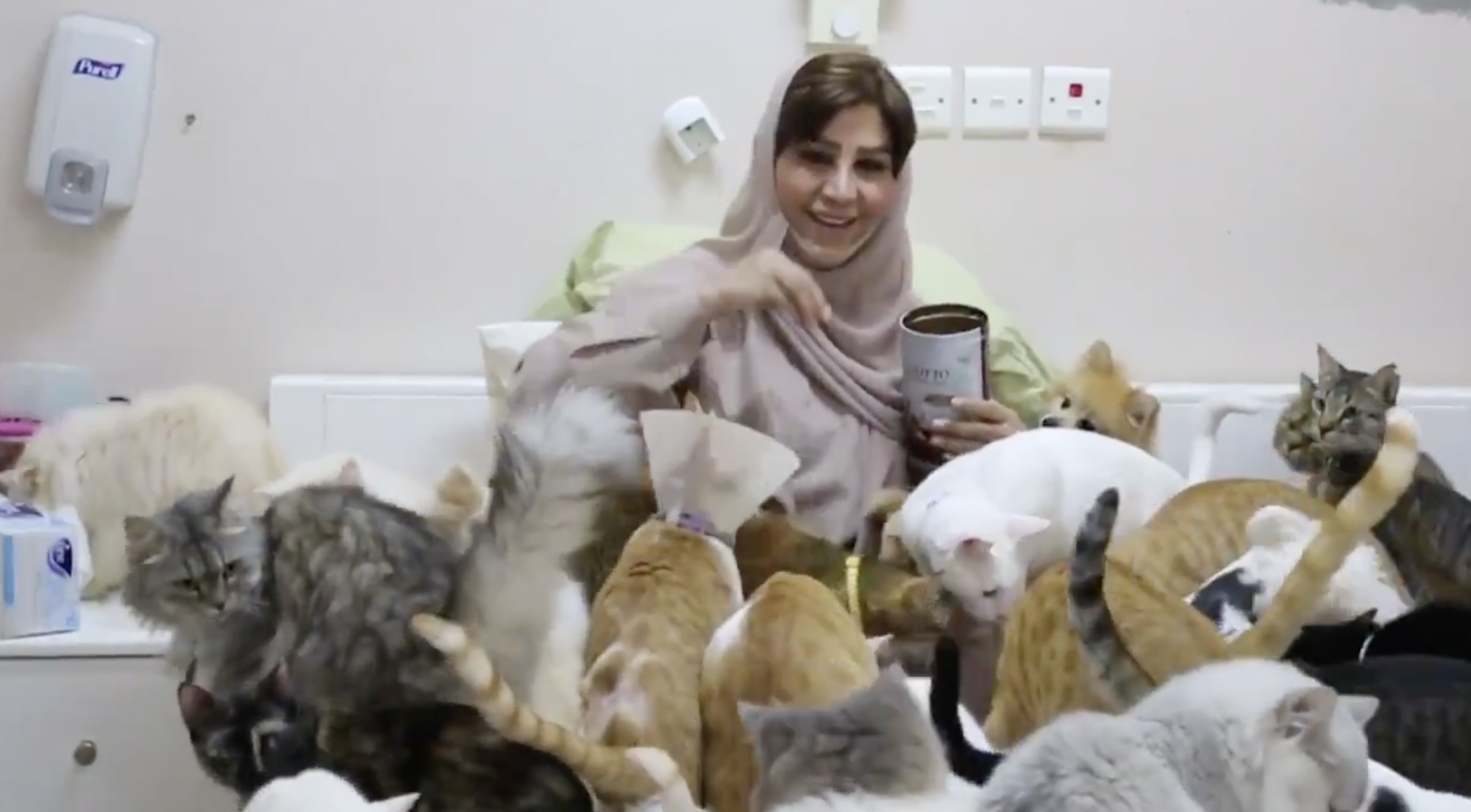 Maryam al-Balouchi dépense environ 6500 euros par mois pour nourrir, laver, soigner ses protégés.