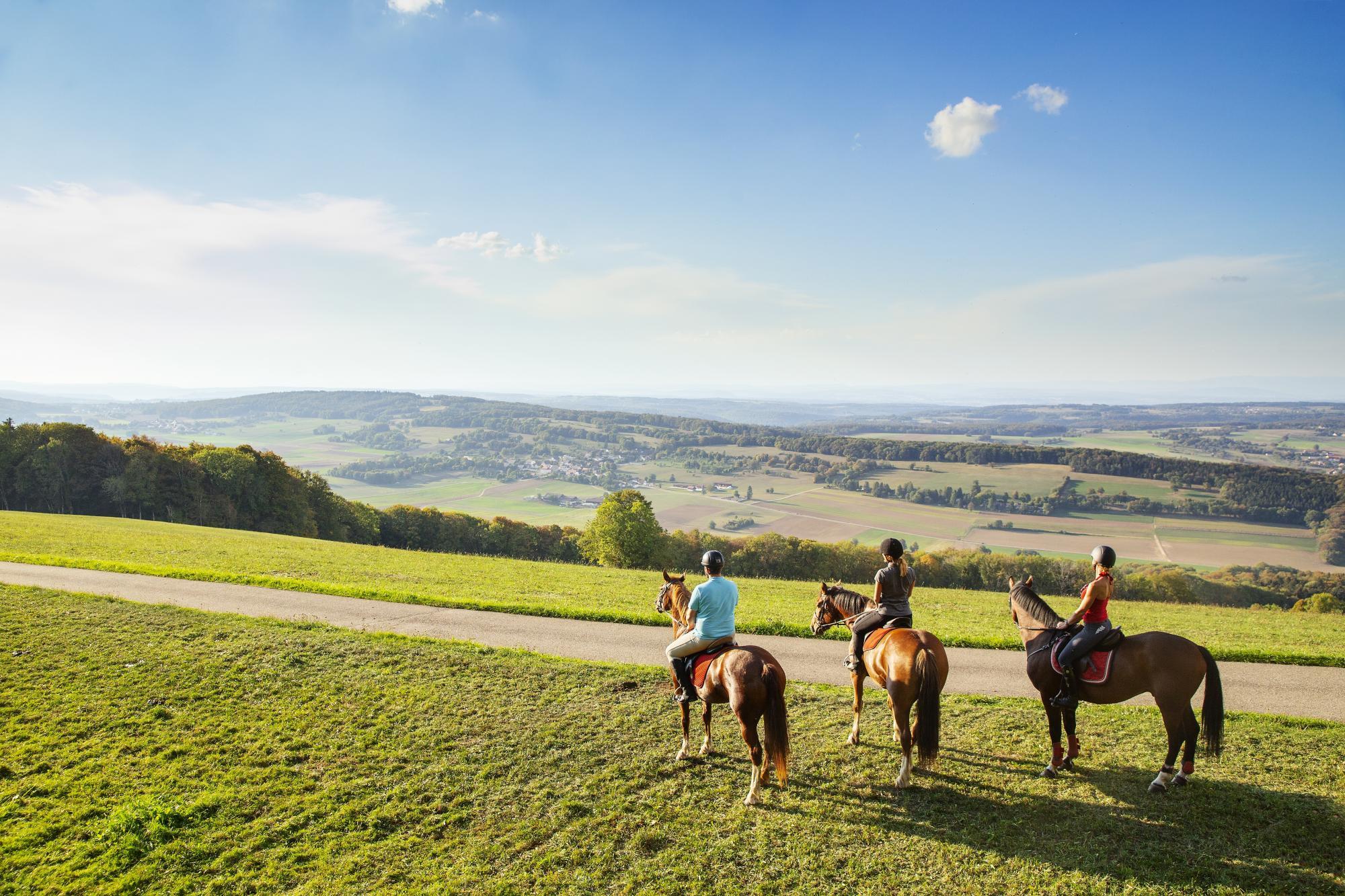 Le projet "Tous en selle" offre une balade gratuite à cheval aux personnes séjournant au moins deux jours dans le Jura, de début mai à fin octobre.