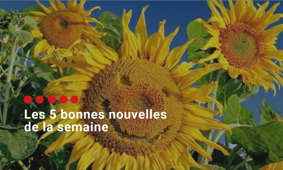 Cinq bonnes nouvelles pour retrouver la bonne humeur en ce début d'année!