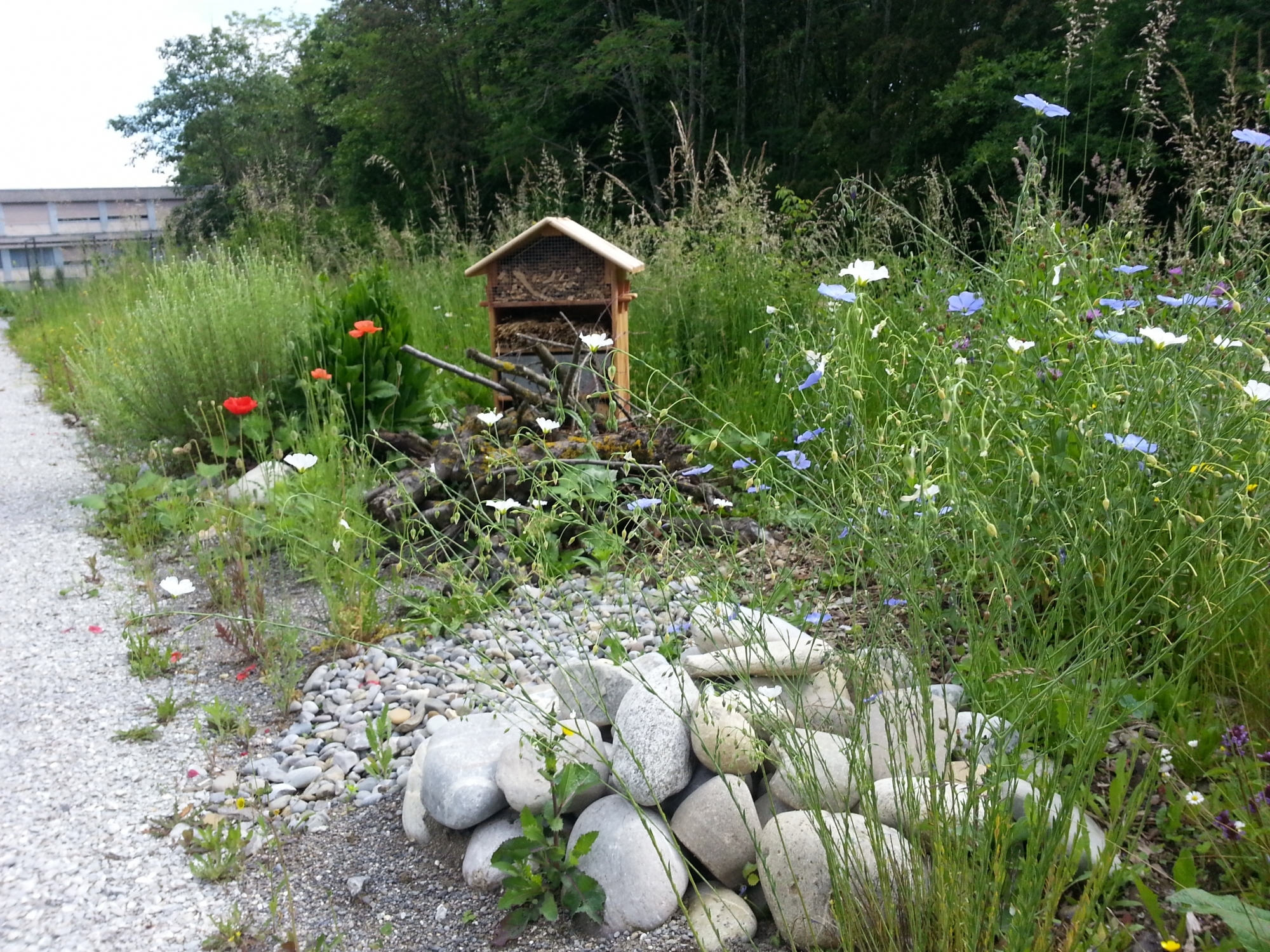 Le Parc Chasseral propose des idées d'aménagements qui favorisent la biodiversité.