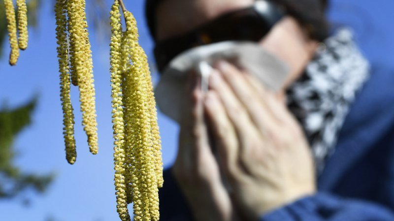 20% de la population suisse est touchée par une allergie au pollen.