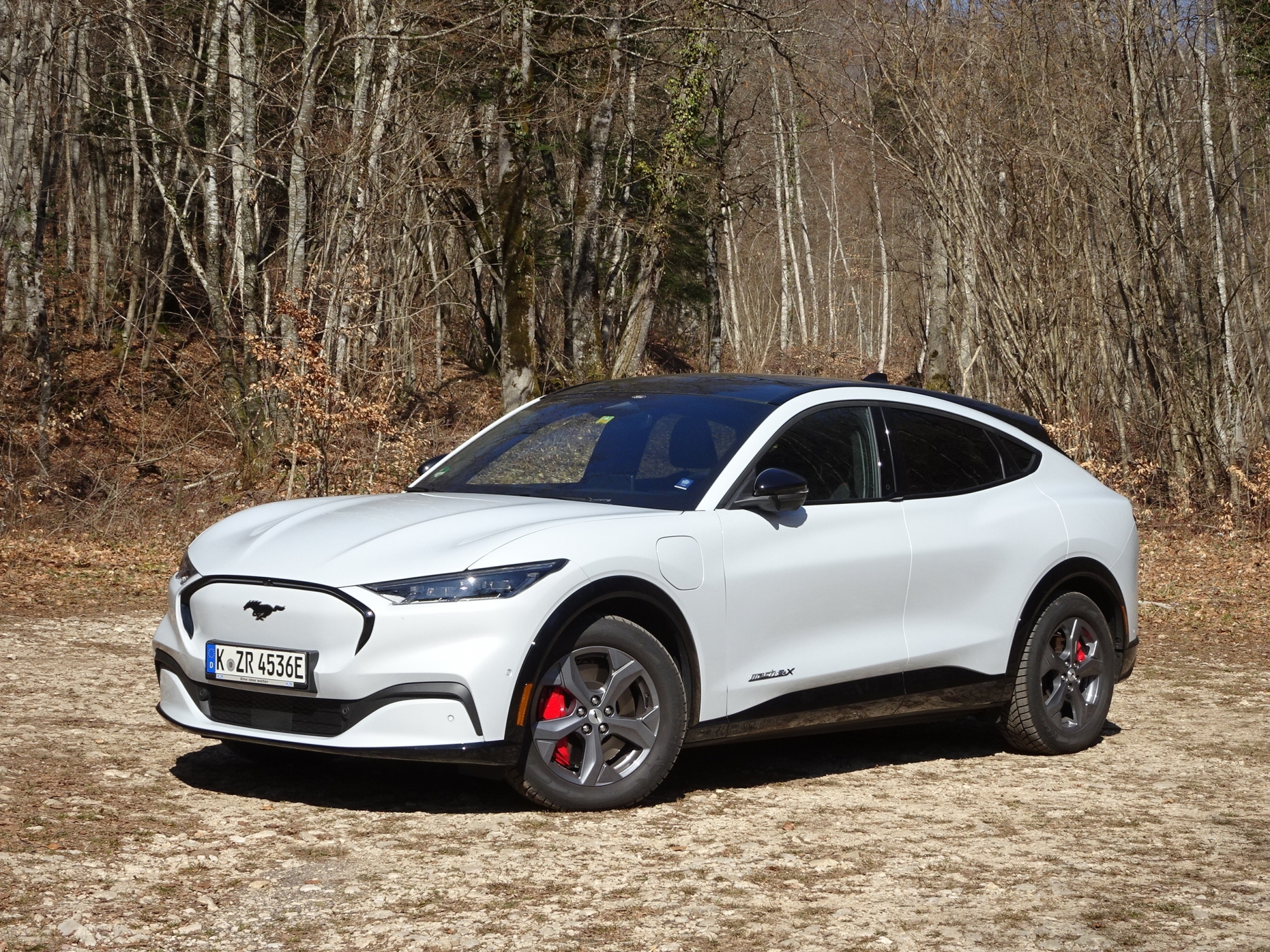 Cette nouvelle Mustang est la première voiture 100% électrique du constructeur germano-américain. 