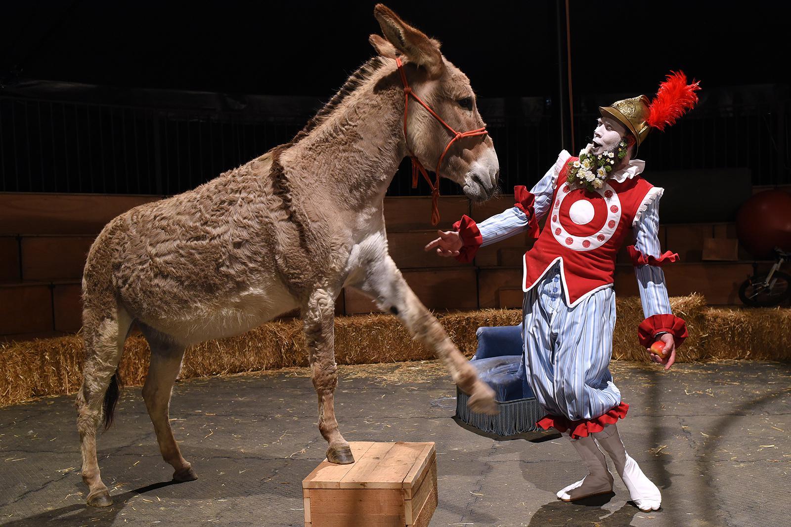 La "Chanson de Roland" version ménagerie de cirque sera proposée au public de Poésie en arrosoir, à Evologia.