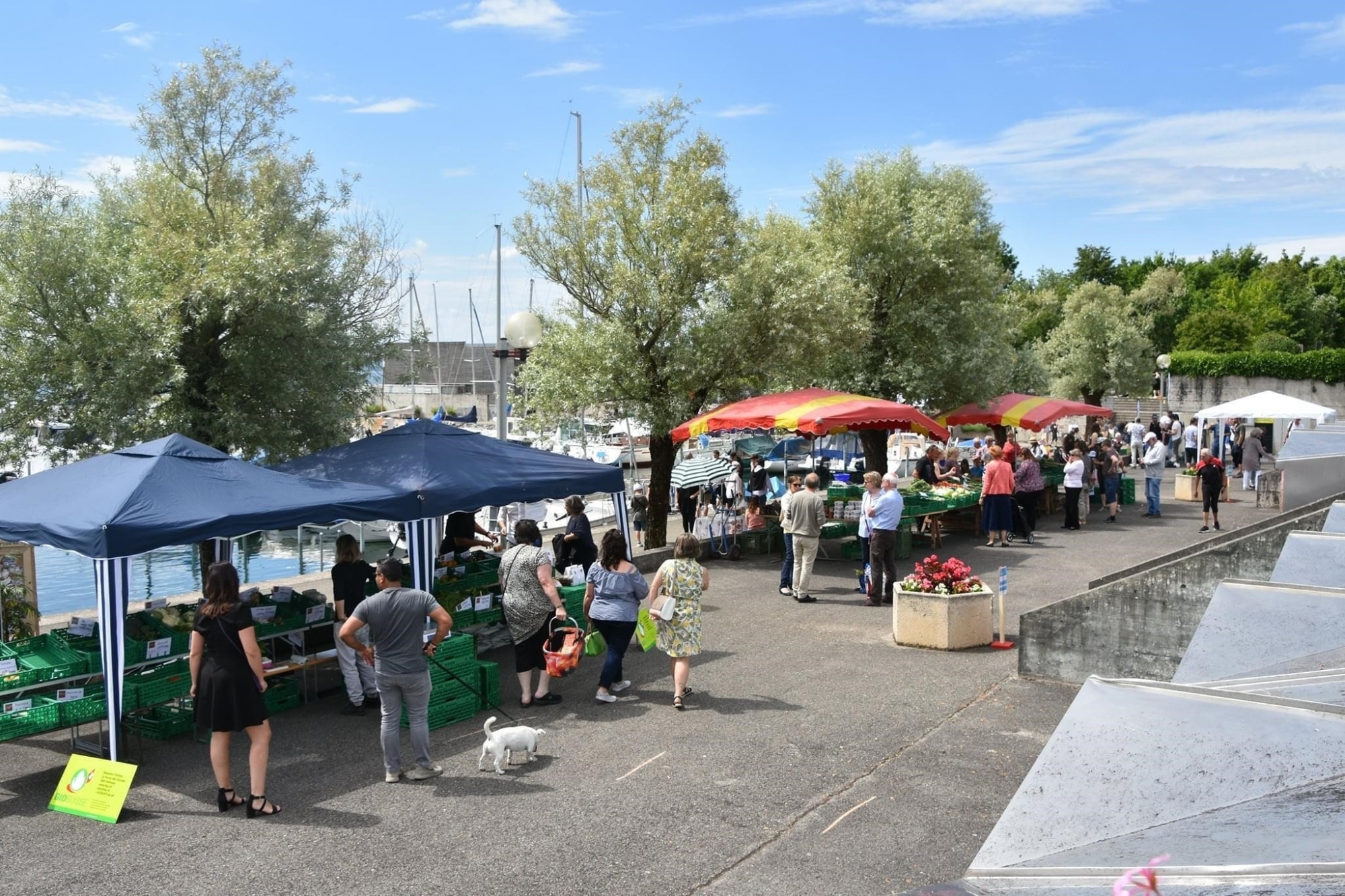 Le Marché des roseaux revient ce week-end au port d'Hauterive.