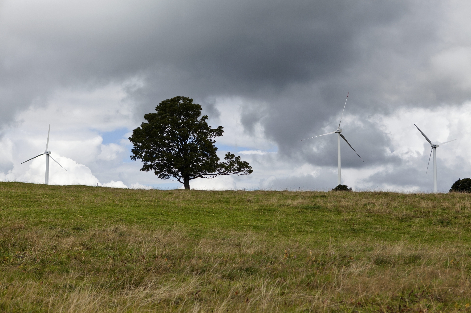 Les éoliennes du Mont-Crosin, au-dessus de Saint-Imier, donnent - en partie - une image de ce qui est prévu au Crêt-Meuron.