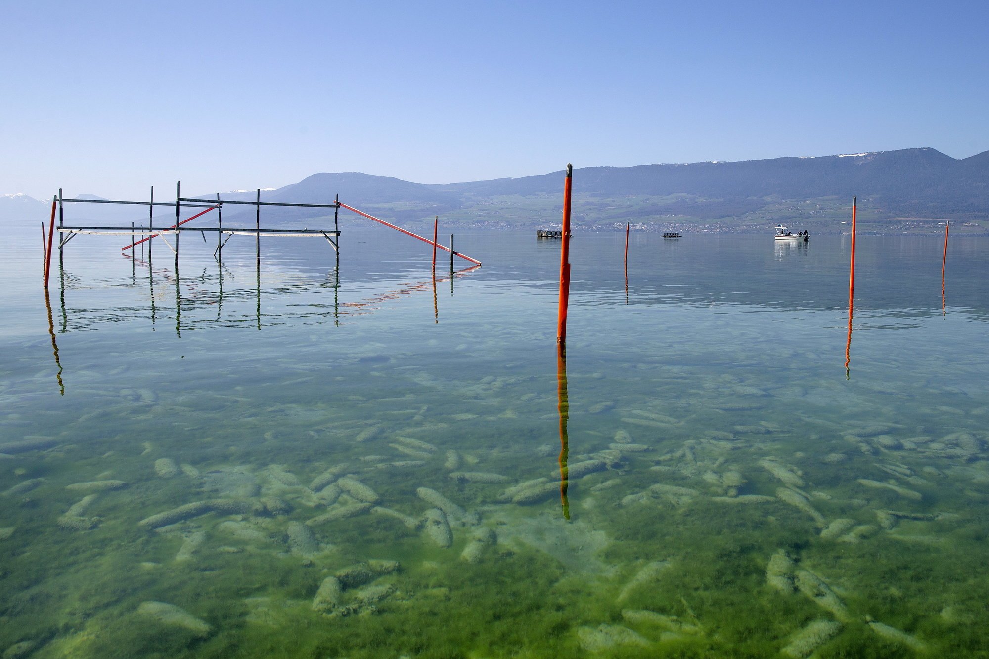 En mars 2021, des plongeurs de l'armée suisse ont effectué des prélèvements d'échantillons d'eau et de sédiments dans le lac de Neuchâtel, sur la place de tir de Forel.