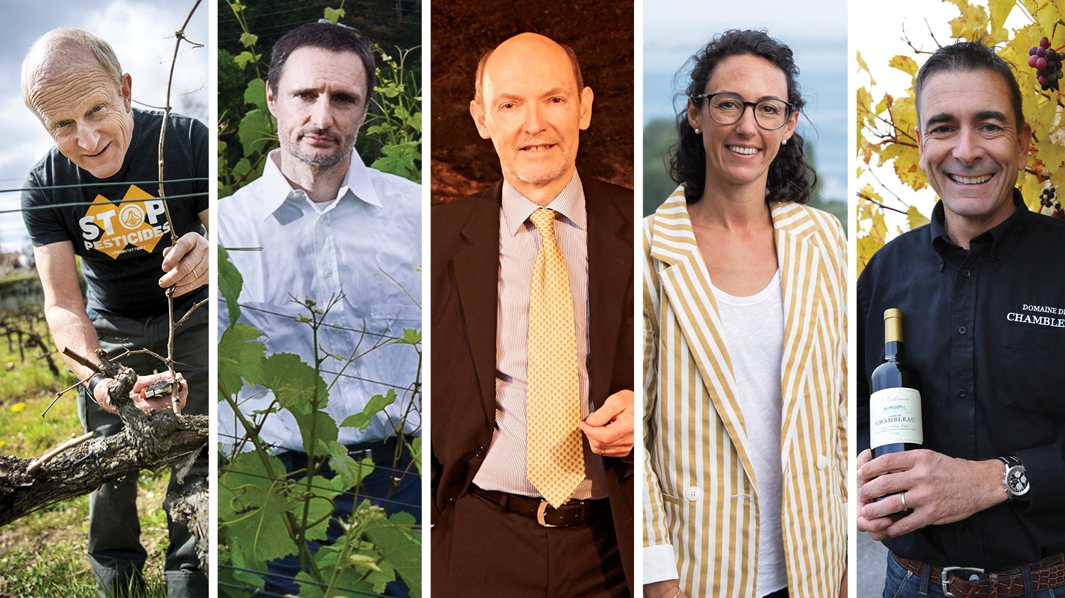 Les cinq vignerons neuchâtelois honorés par la SVS: Jean-Denis Perrochet, Jacques Tatasciore, Jean-Marie Mauler, Annie Rossi et Louis-Philippe Burgat (de gauche à droite).