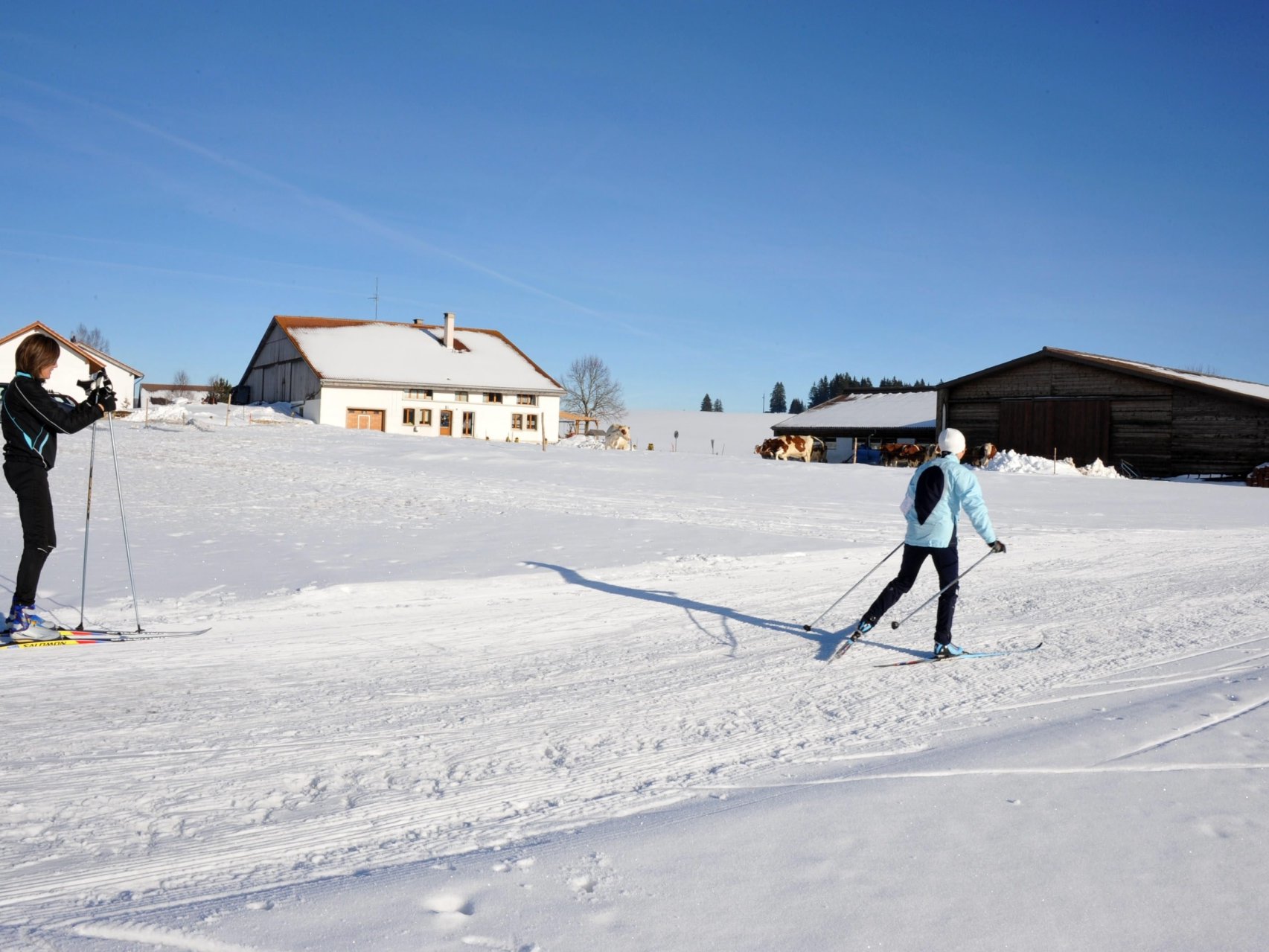 Chaque année, les bénévoles de Neuchâtel Ski de Fond doivent modifier des parcours et négocier avec les propriétaires terriens.