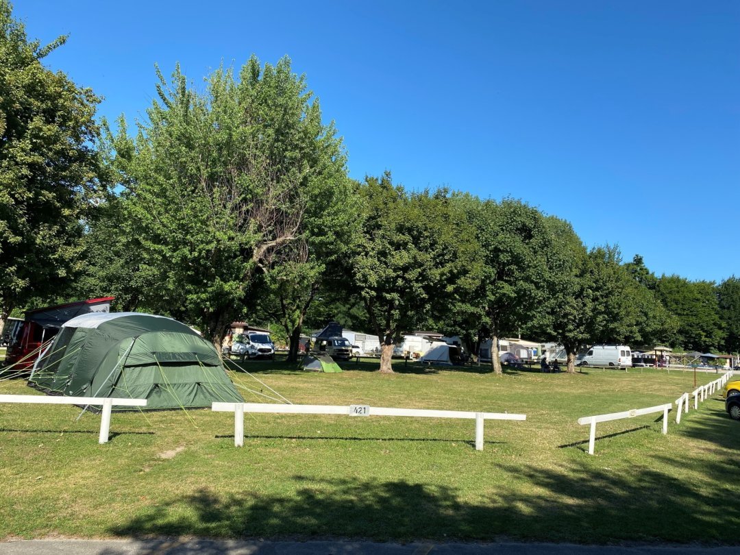 Des parcelles arborées accueillent les campeurs de passage à Vidy.