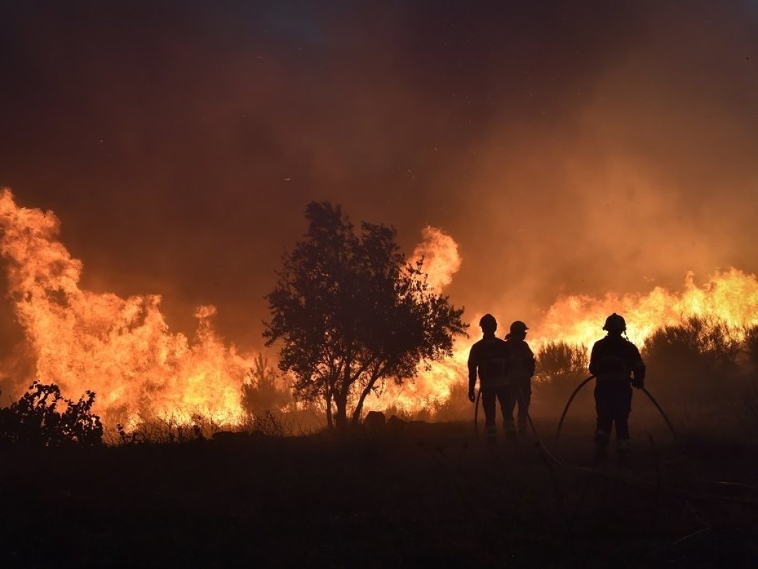 Ce feu, qui s'était déclaré le 6 août dans les environs de Covilha (centre), a détruit des zones de forêt uniques.