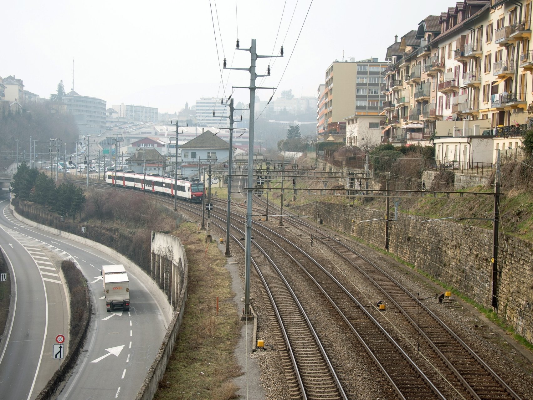 Le chien errait entre la gare de Neuchâtel et Vauseyon.