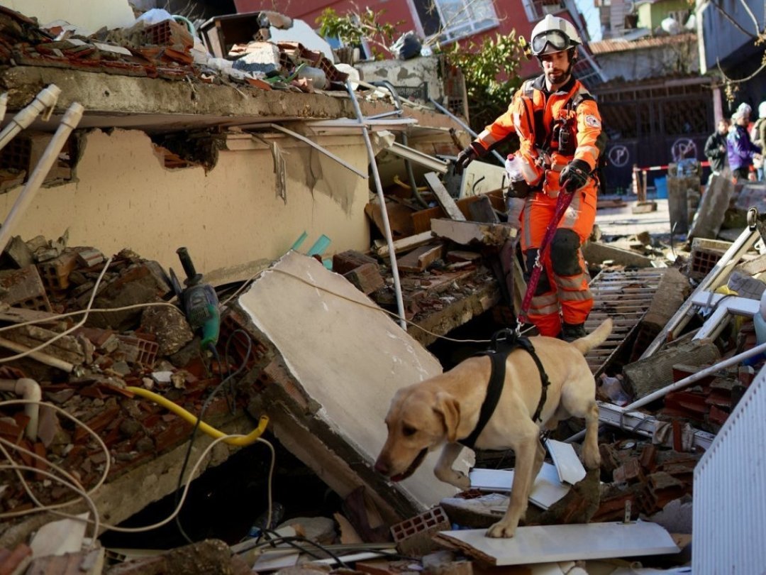 Benjamin Tissot-Daguette et son chien Fantasio dans la ville turque d'Antakya, dévastée par le récent séisme.