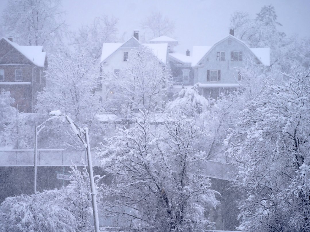 A Pittsfield, dans le Massachusetts, la tempête de neige fige le paysage.