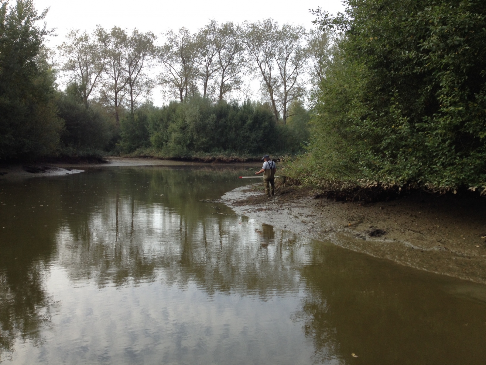 L'étang de Corbat, situé près de Porrentruy, sera revitalisé afin de préserver l'écosystème du site.