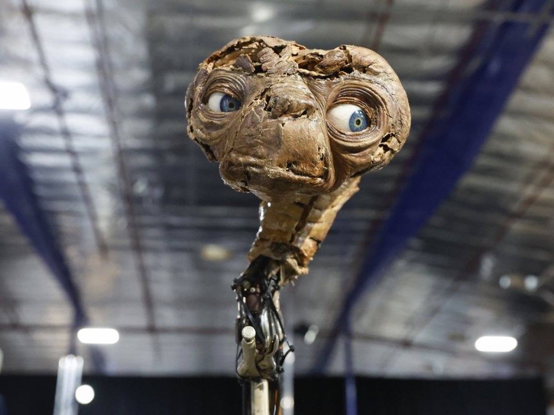 La tête d'E.T. est munie de narines qui peuvent s'ouvrir et se fermer. Ses yeux, ses lèvres et ses sourcils sont également mobiles.