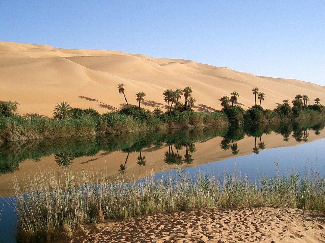 L'oasis d'Oubari, en Libye.