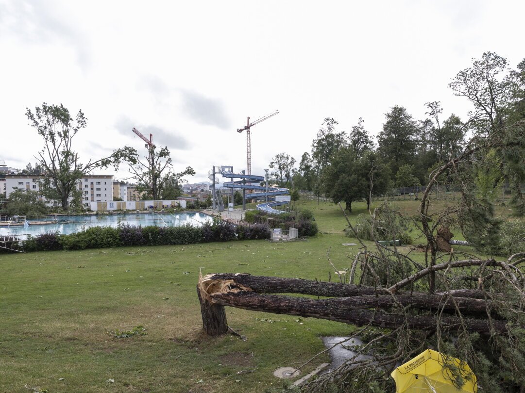 La piscine a fermé plus tôt que prévu à la suite de la tempête du 24 juillet. Les travaux de rénovation ont commencé en août, comme planifié.