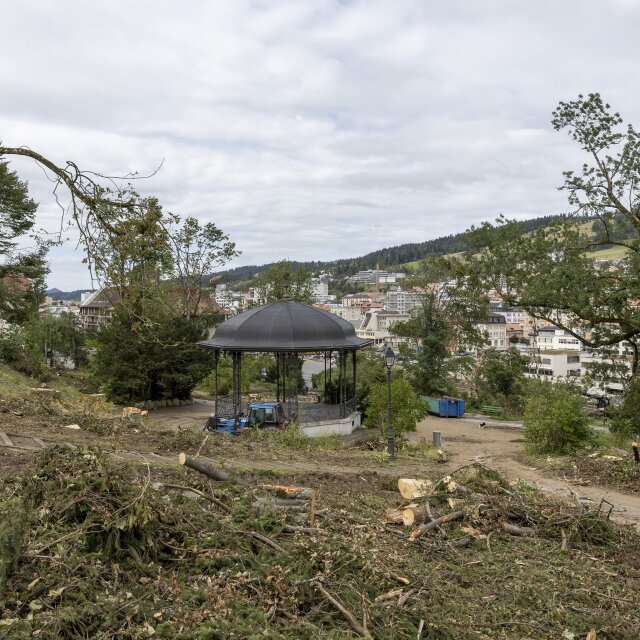 La tempête a dévasté la ville de La Chaux-de-Fonds, le 24 juillet 2023.