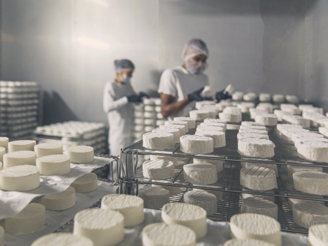 Même dans sa version vegan, la production de fromage demande précision et patience.