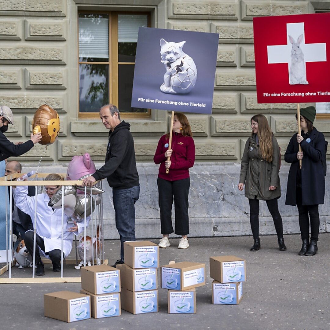 Cinq organisations ont demandé lundi à Berne la fin des expérimentations animales sévères. Elles ont déposé une pétition avec plus de 40'000 paraphes.
