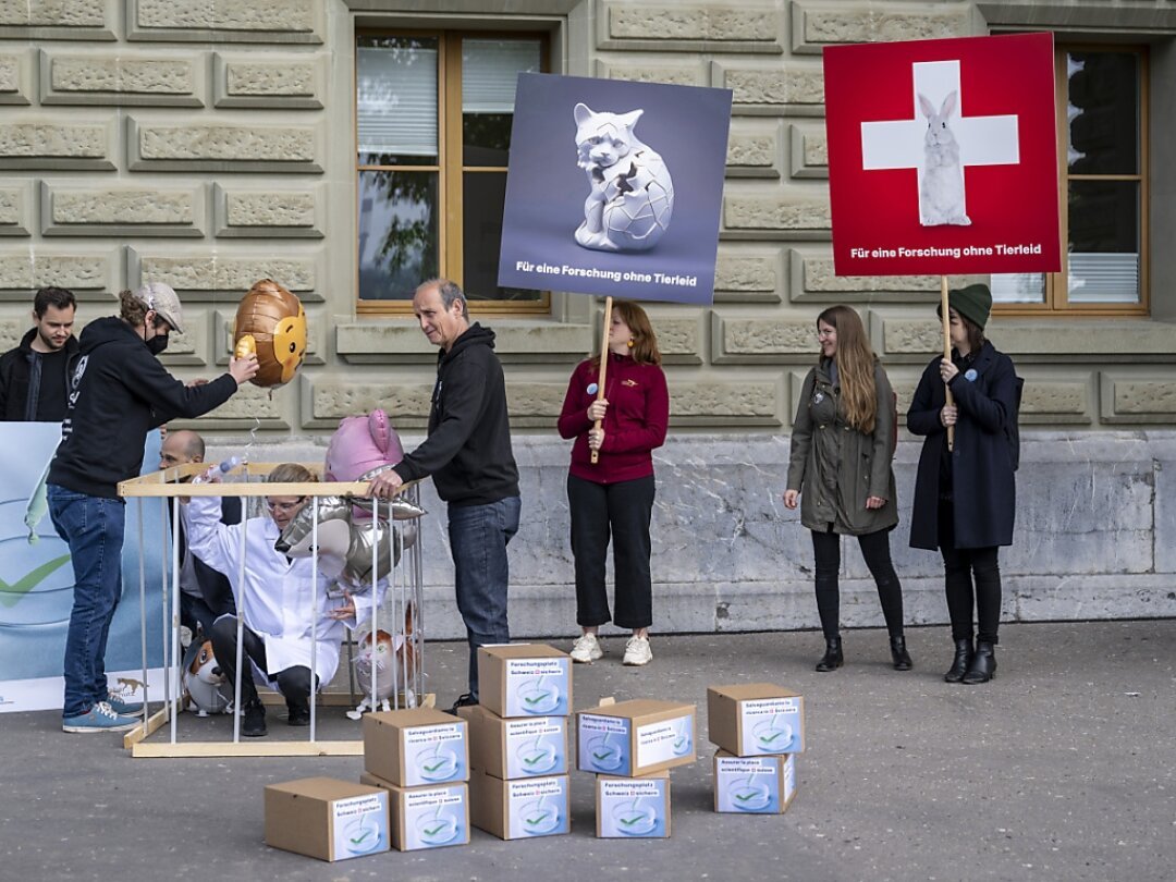 Cinq organisations ont demandé lundi à Berne la fin des expérimentations animales sévères. Elles ont déposé une pétition avec plus de 40'000 paraphes.