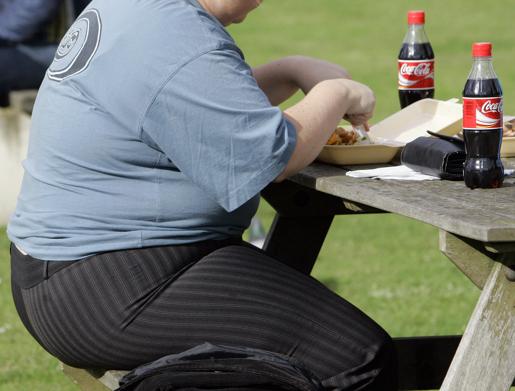 La surcharge pondérale et l'obésité sont le cinquième facteur de risque de décès au niveau mondial .