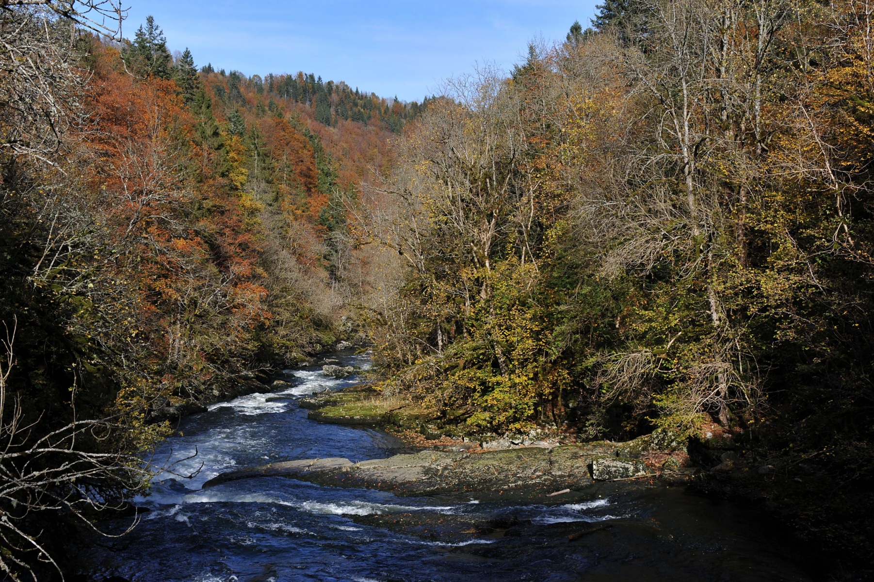 Paysage du Doubs près des Brenets.

Les Brenets 20 10 2012
photo R Leuenberger