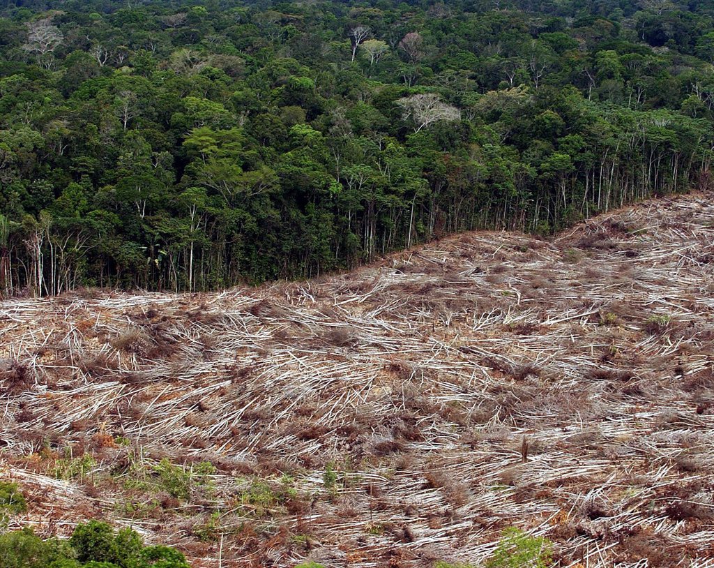 La déforestation de l'Amazonie brésilienne a augmenté de 29% entre 2012 et 2013, selon une estimation officielle basée sur des données satellitaires, publiée mercredi.