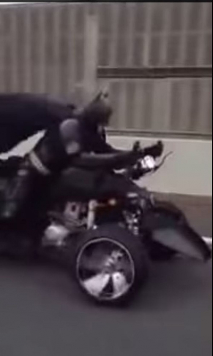 Batman a été surpris en plein jour, sur sa moto, dans les rues de la province japonaise de Chiba.