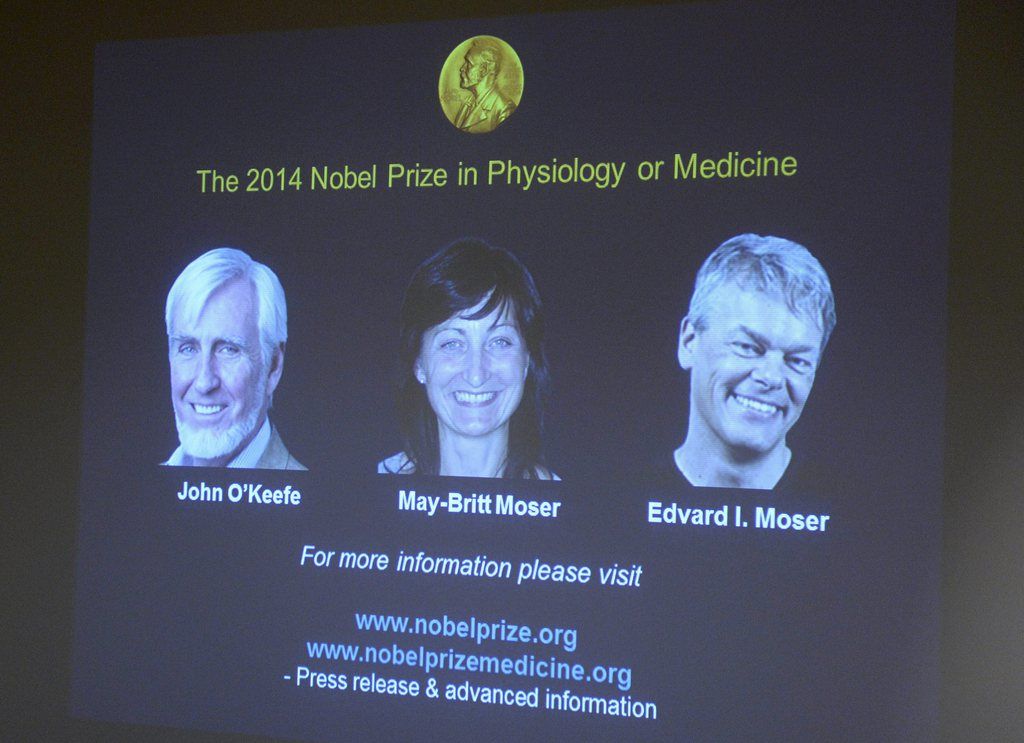 epa04434621 A screen displays pictures of John O'Keefe, May-Britt Moser and Edvard Moser during the announcement of the Nobel Prize in Medicine winners in Stockholm, Sweden, 06 October 2014. US-British scientist John O'Keefe and Norwegian husband and wife Edvard Moser and May-Britt Moser have won the Nobel Prize in medicine for discoveries of cells that constitute a positioning system in the brain.  EPA/BERTIL ERICSON SWEDEN OUT