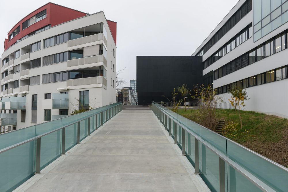 Passerelle du Millenaire


NEUCHATEL 27 11  2014
Photo: Christian Galley