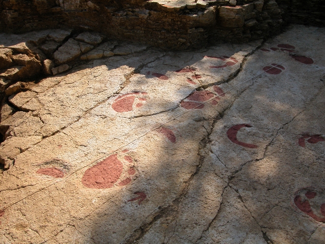 Le site des traces de dinosaures de Courtedoux figure également au programme de Paléojura. 