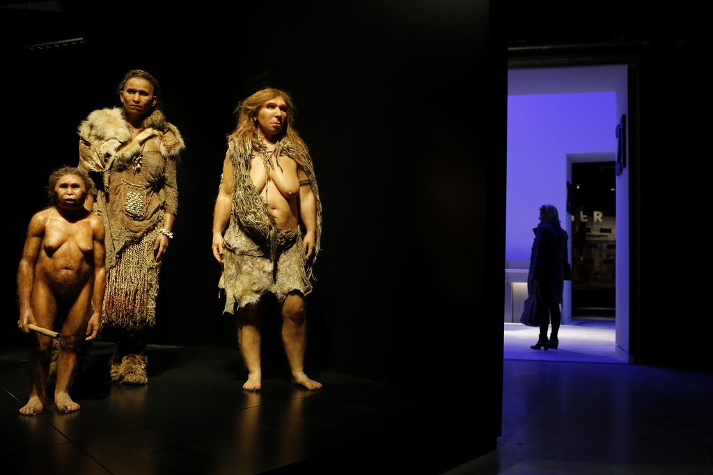 From left, models representing Flores, Homo Sapiens and Neanderthal women stand in the "Musee des Confluences", a new science and anthropology museum in Lyon, central France, Thursday, Dec. 18, 2014. The museum which originality and specificity are to link science an society, will be inaugurated this Friday and has been designed by Austrian architect Wolf Dieter Prix. (AP Photo/Laurent Cipriani)