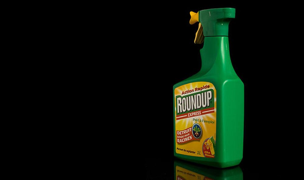 De nombreux produits contiennent du glyphosate, dont le fameux "Roundup".