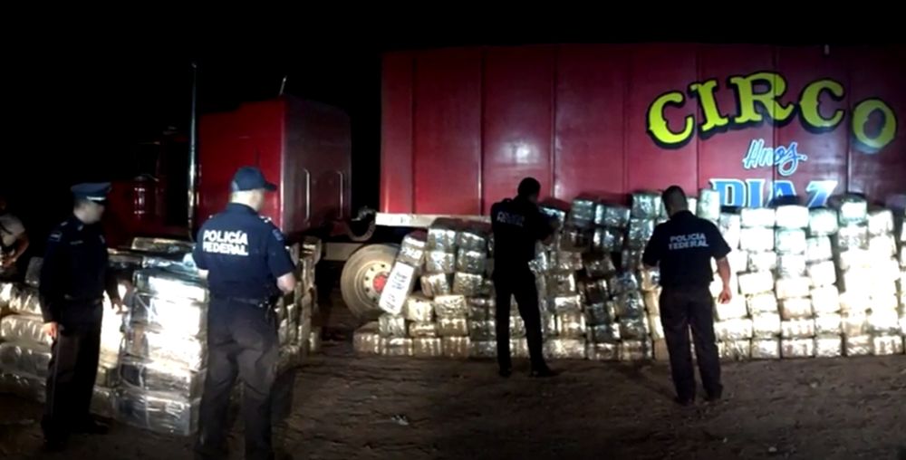 La police a saisi 389 paquets de marijuana et diffusé des images de l'imposante cargaison alignée devant le camion rouge.
