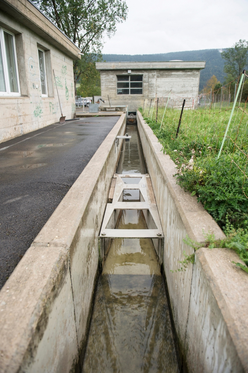 visite de la step qui va etre restaurer 



Boveresse, 16 09 2015

Photo : © David Marchon