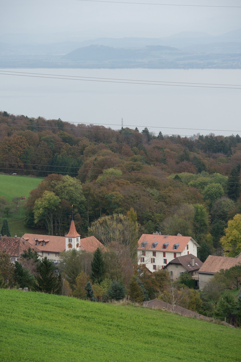 Rochefort: vue du village depuis La Prise



Rochefort, 20 10 2014

PHOTO DAVID MARCHON ROCHEFORT