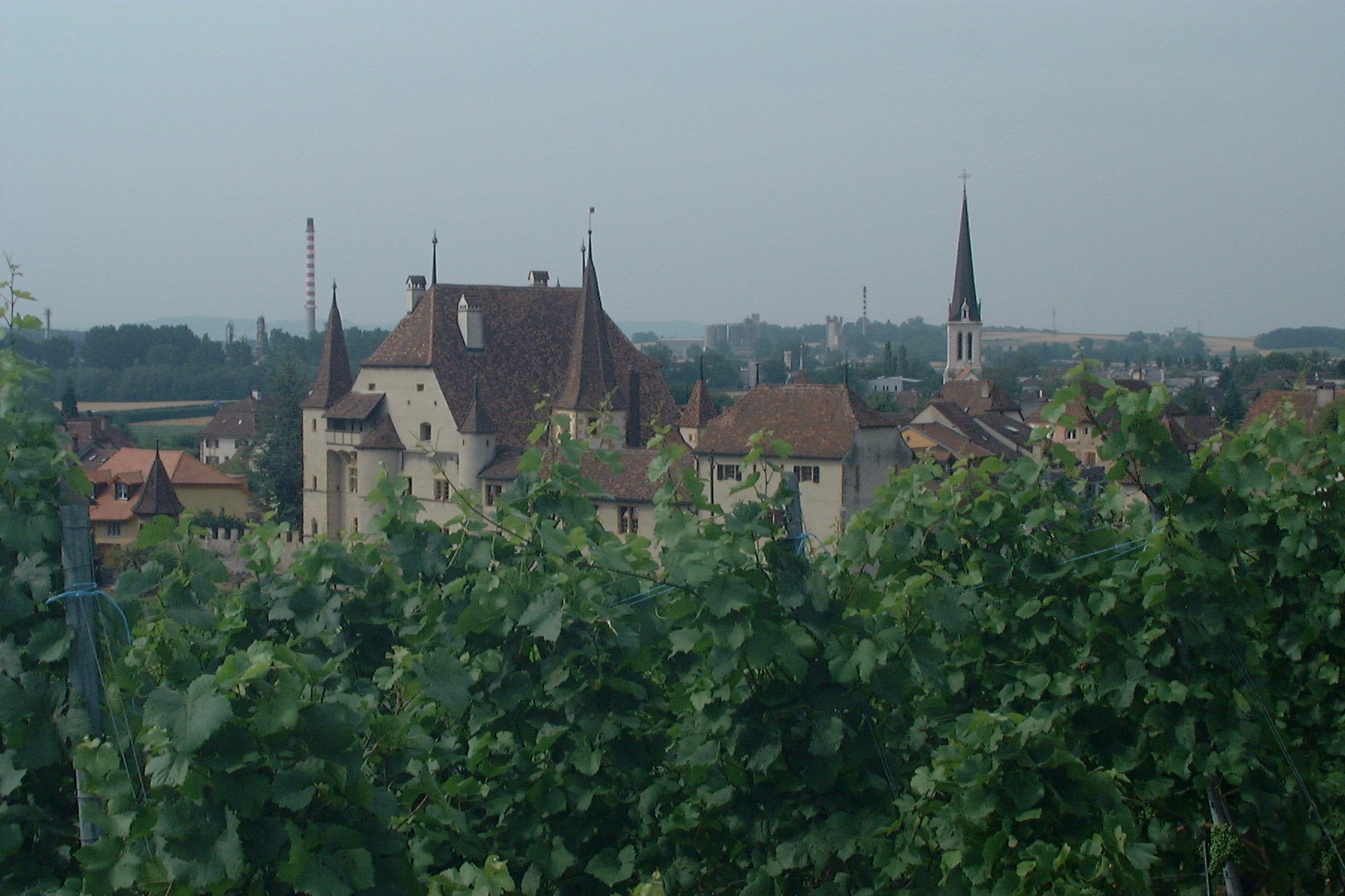Vue de Cressier, l'une des sept communes appelées à se marier..      photo Plachta, Cressier , juillet 2003