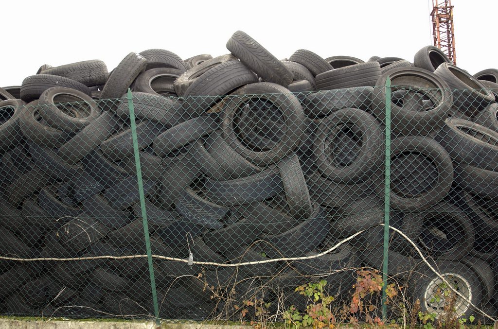 Des centaines de pneus ont été abandonnés dans les forêts bernoises par des inconnus.