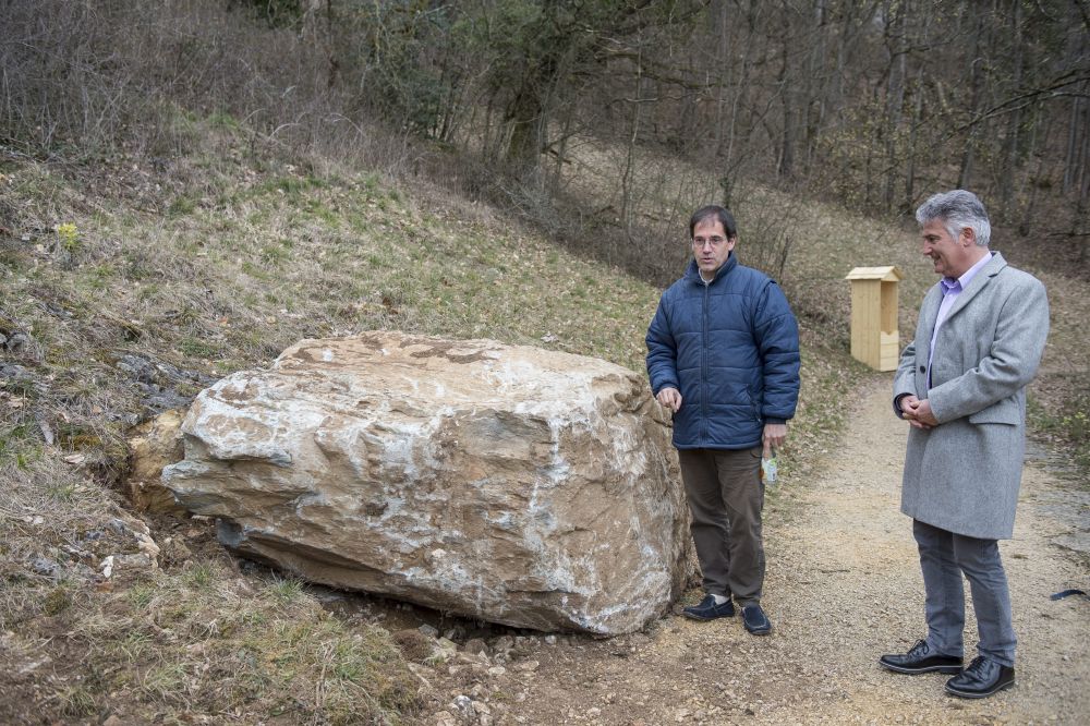 Une pierre à cupules a été découverte au jardin botanique de Neuchâtel.